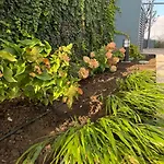 Designer - Rooftop - Sea View - Arcadia 200m דירה