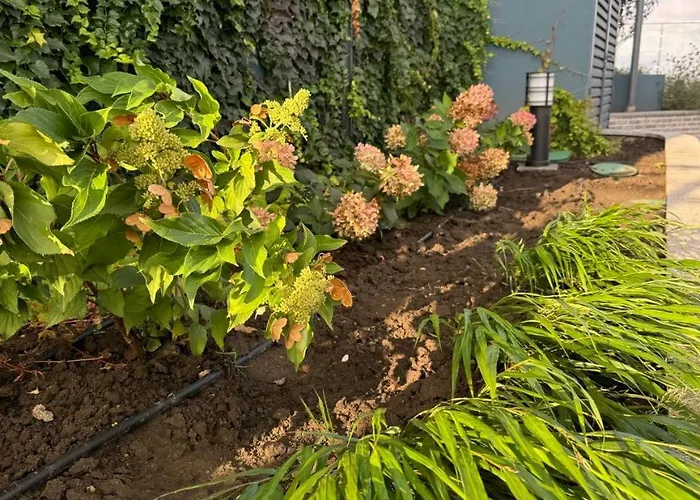 Designer - Rooftop - Sea View - Arcadia 200m Апартаменты